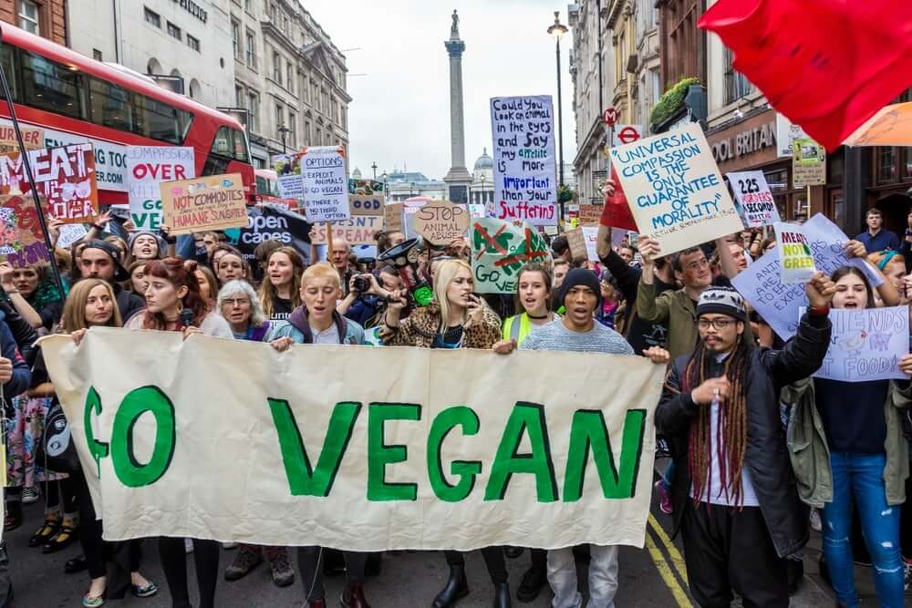 Veganuary - A Student Survival Guide To Vegan London | urbanest