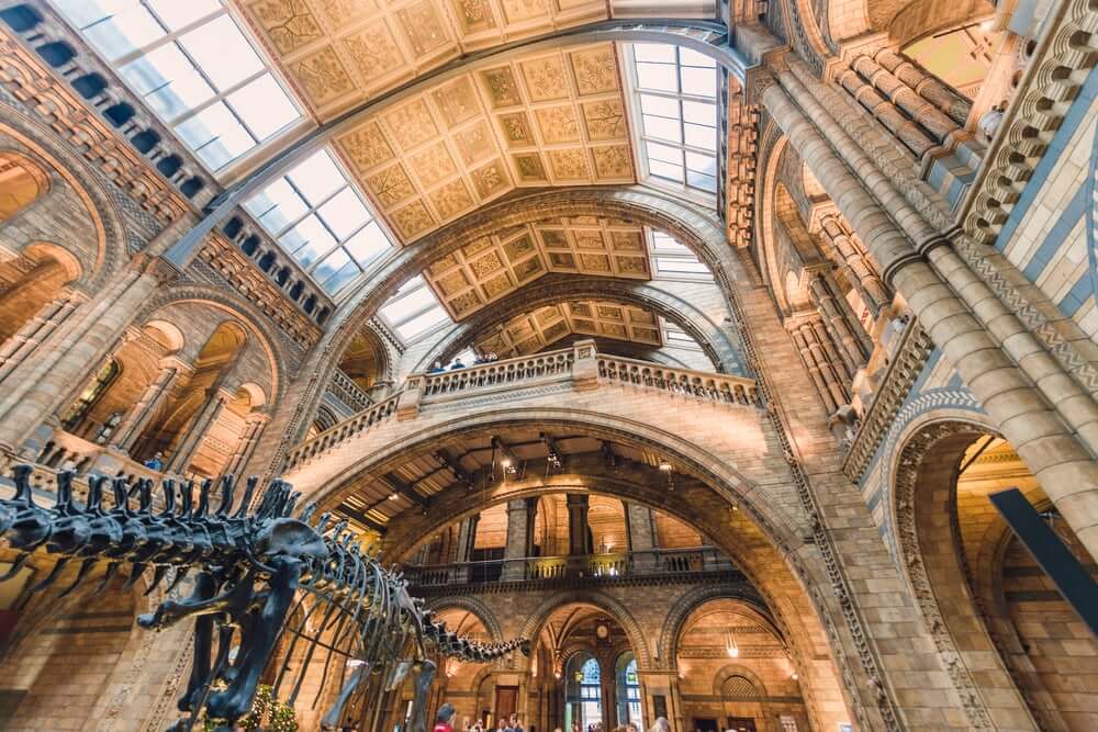 Natural history museum London